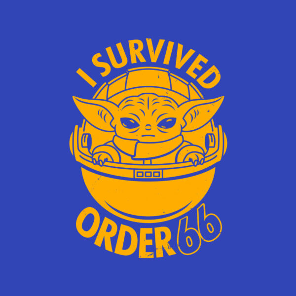 Survivor - Image 12