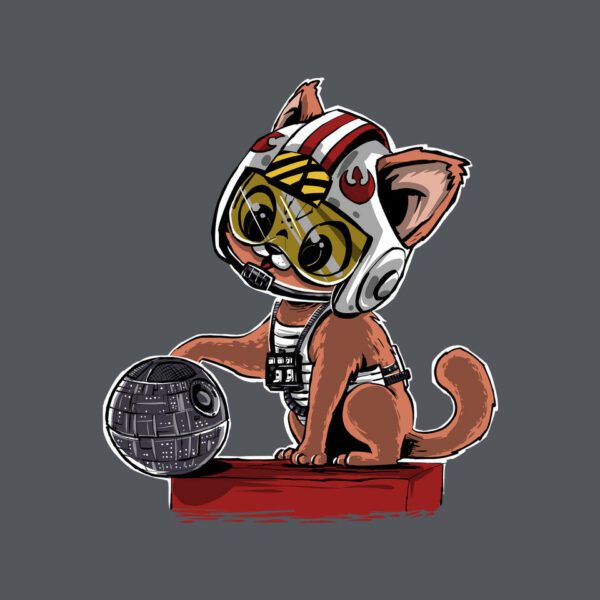 Destroying The Death Star - Image 14