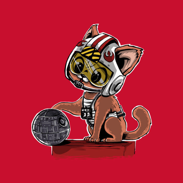Destroying The Death Star - Image 24