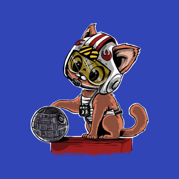 Destroying The Death Star - Image 19