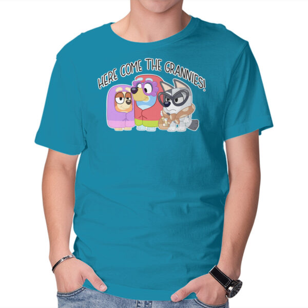 Here Come The Grannies - Image 17