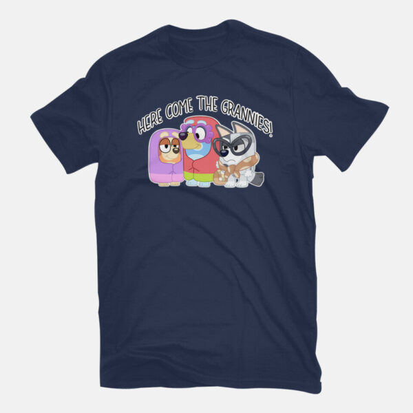 Here Come The Grannies - Image 11