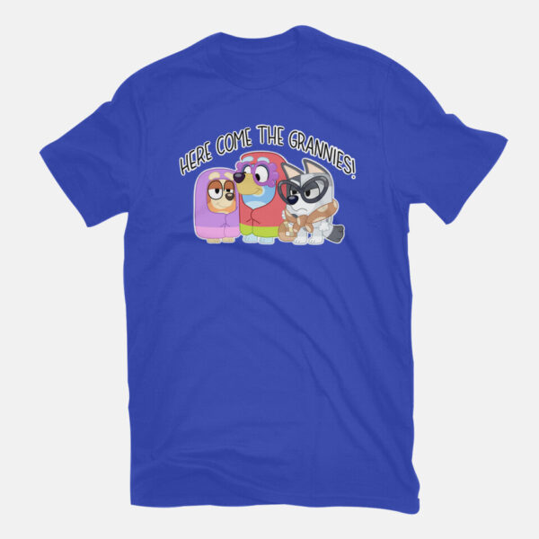 Here Come The Grannies - Image 15