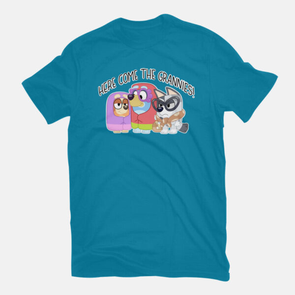 Here Come The Grannies - Image 19