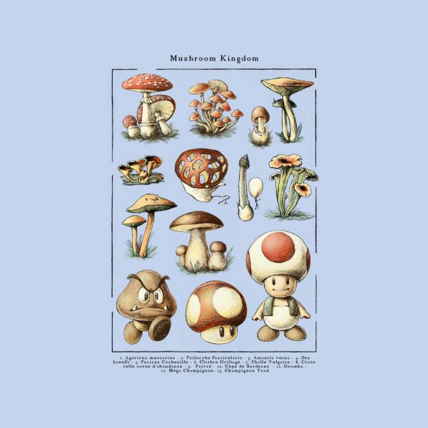 The Mushroom Kingdom - Image 12