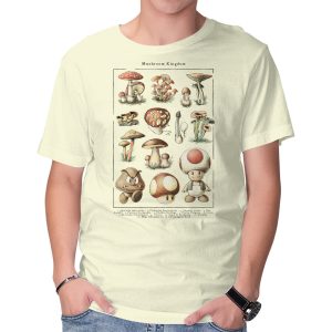 The Mushroom Kingdom
