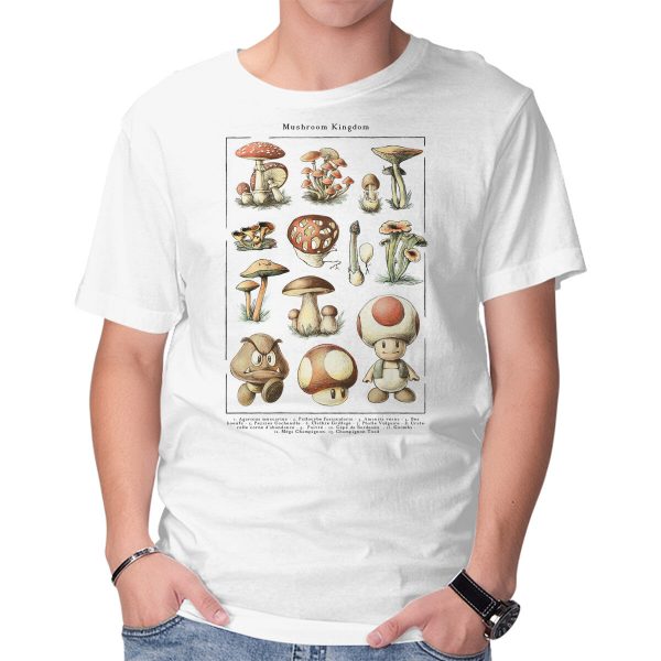 The Mushroom Kingdom - Image 5