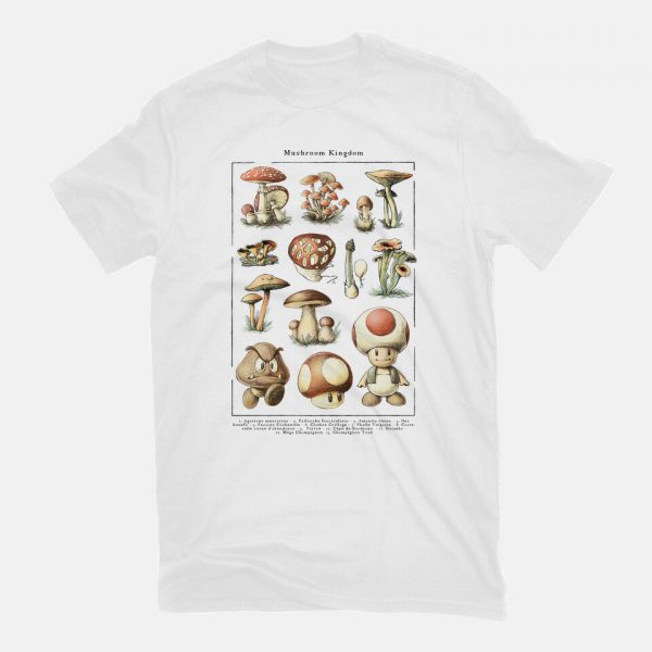 The Mushroom Kingdom - Image 7