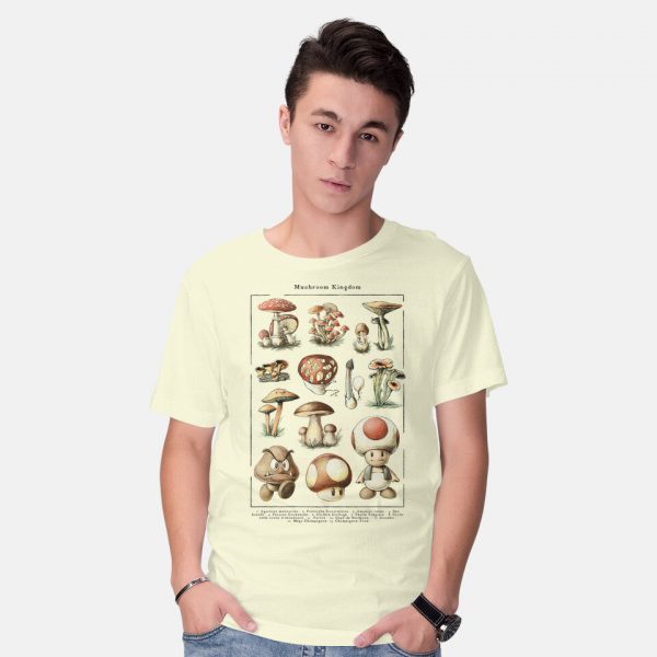 The Mushroom Kingdom - Image 2