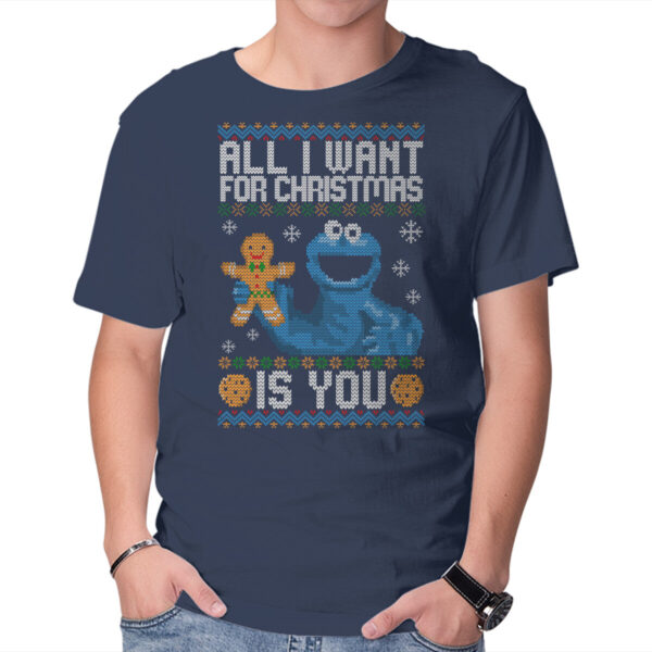 All I Want For Christmas Is You - Image 5
