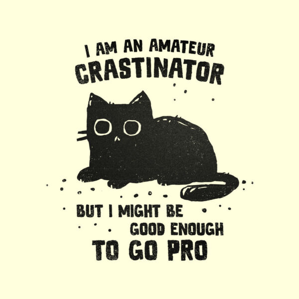 Amateur Crastinator - Image 4