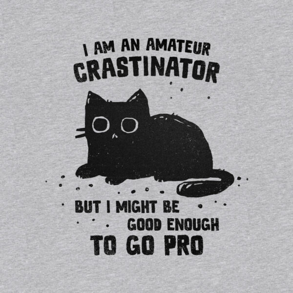 Amateur Crastinator - Image 19