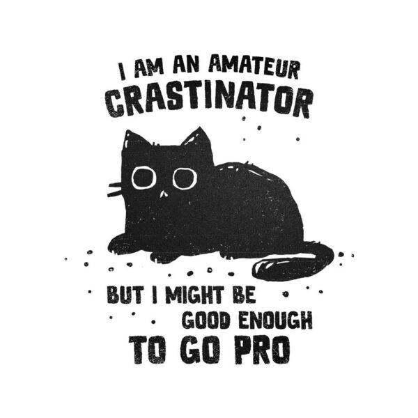 Amateur Crastinator - Image 9