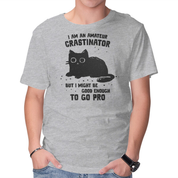 Amateur Crastinator - Image 16