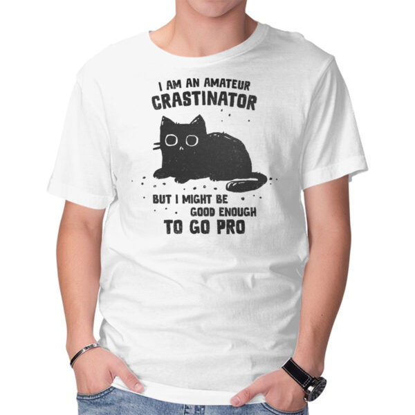 Amateur Crastinator - Image 6
