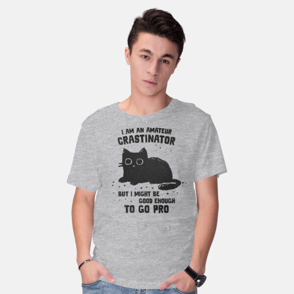 Amateur Crastinator - Image 17