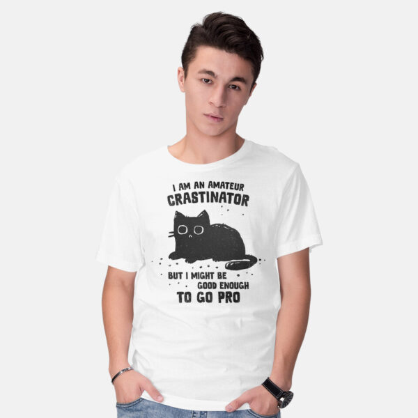 Amateur Crastinator - Image 7