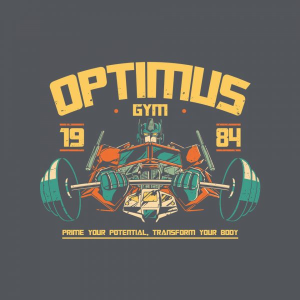 Optimus Gym - Image 12