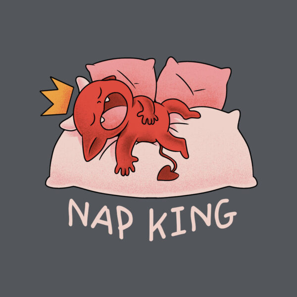 Nap King - Image 16