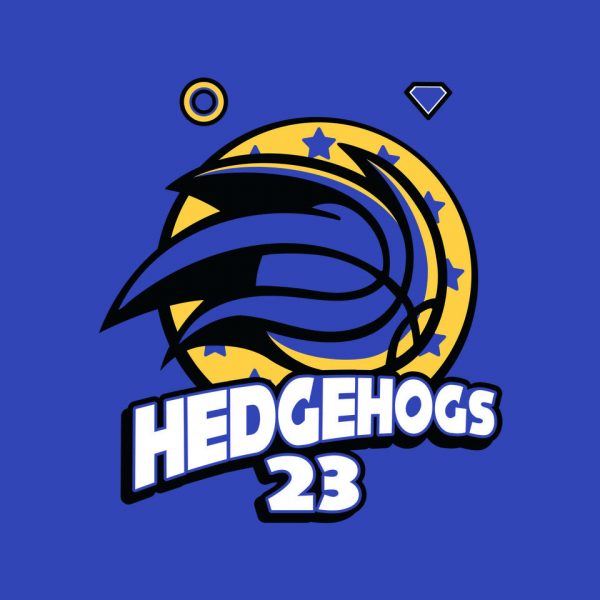 Hedgehogs Jersey - Image 4