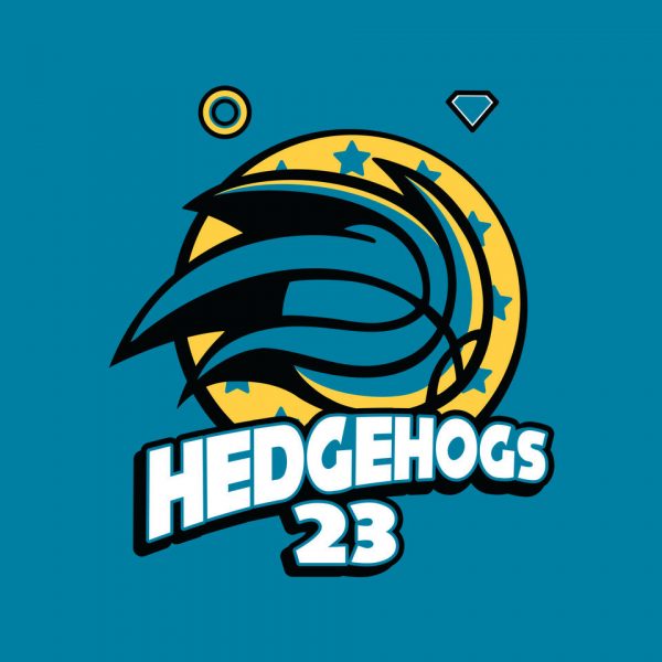 Hedgehogs Jersey - Image 8