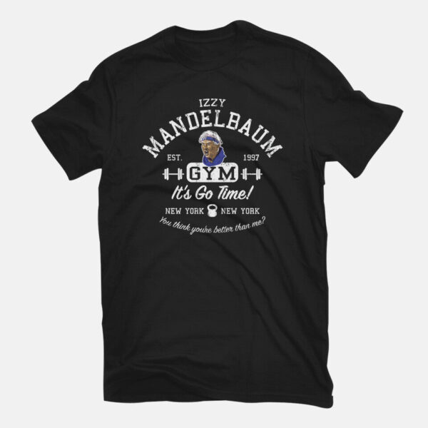 Izzy Mandelbaum Gym - Image 7