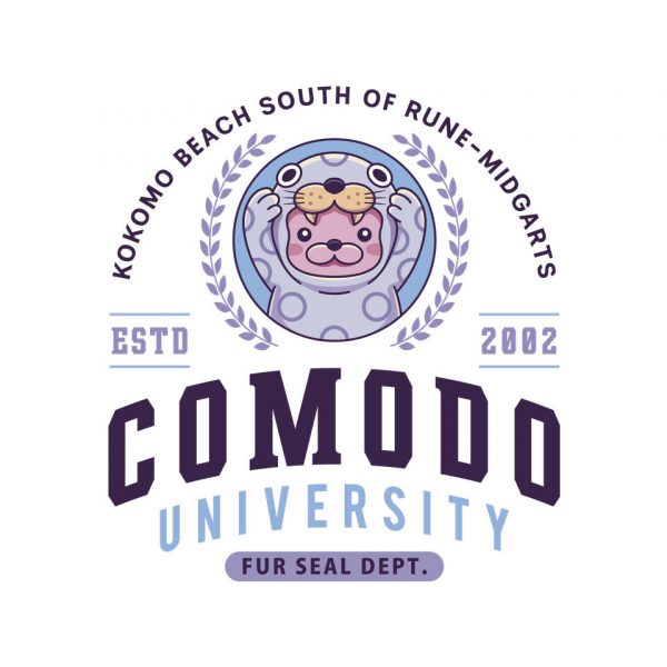 Comodo University - Image 4