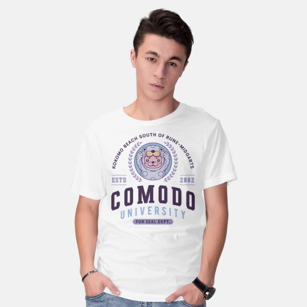 Comodo University - Image 2