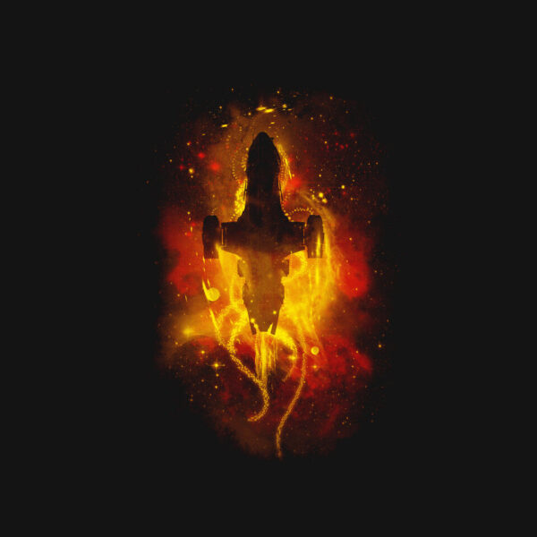 The Shiny Fireflying - Image 4