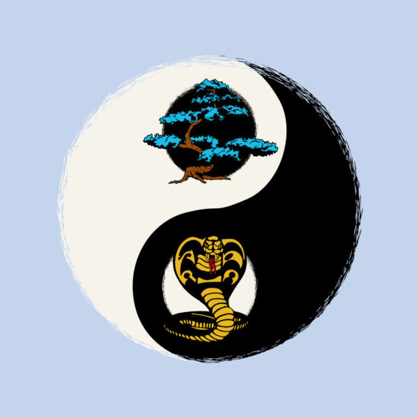 Balance Dojo - Image 4
