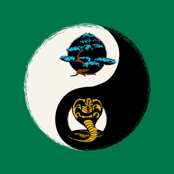 Balance Dojo - Image 20