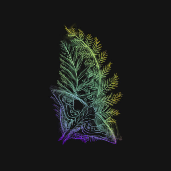 Smoke Butterfly Tattoo - Image 4