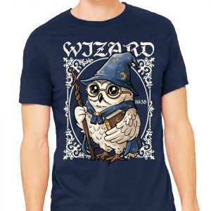 Owl Wizard Merlin