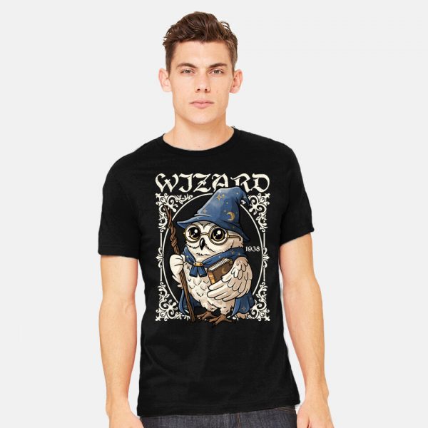 Owl Wizard Merlin - Image 6