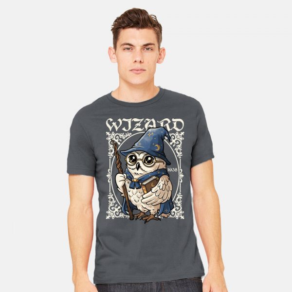 Owl Wizard Merlin - Image 10