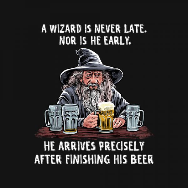 A Wizard Is Never Later - Image 4