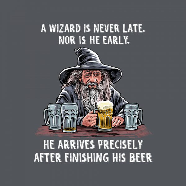 A Wizard Is Never Later - Image 12