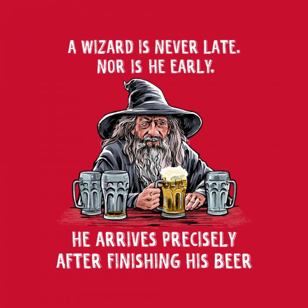 A Wizard Is Never Later - Image 20