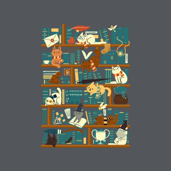 Library Magic School - Image 12