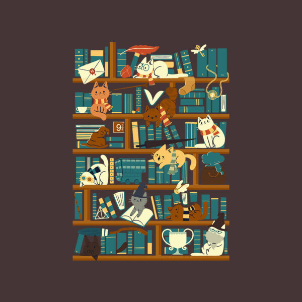 Library Magic School - Image 16