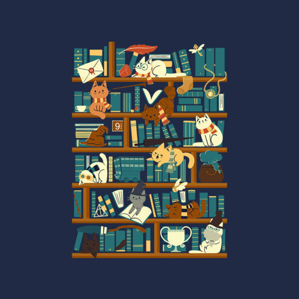Library Magic School - Image 4