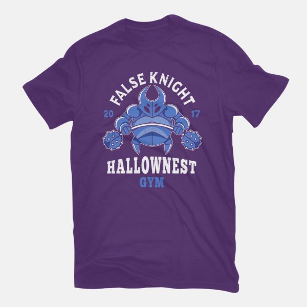False Knight Gym - Image 11