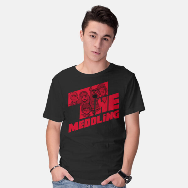 The Meddling - Image 2