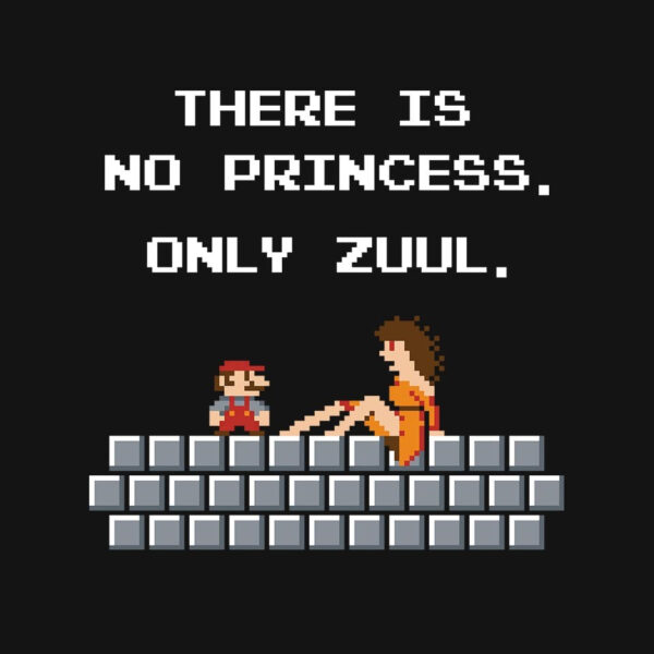 There Is No Princess - Image 4