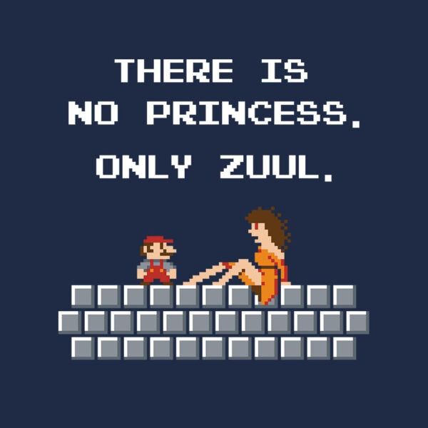 There Is No Princess - Image 8