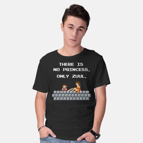 There Is No Princess - Image 2