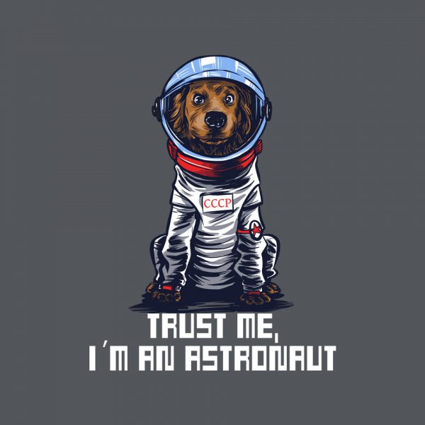 I Am An Astronaut - Image 6