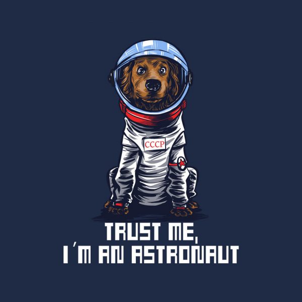 I Am An Astronaut - Image 3