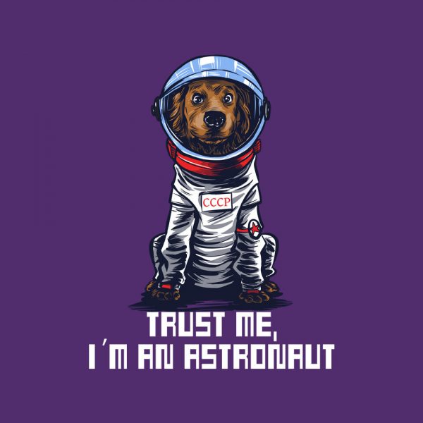 I Am An Astronaut - Image 9