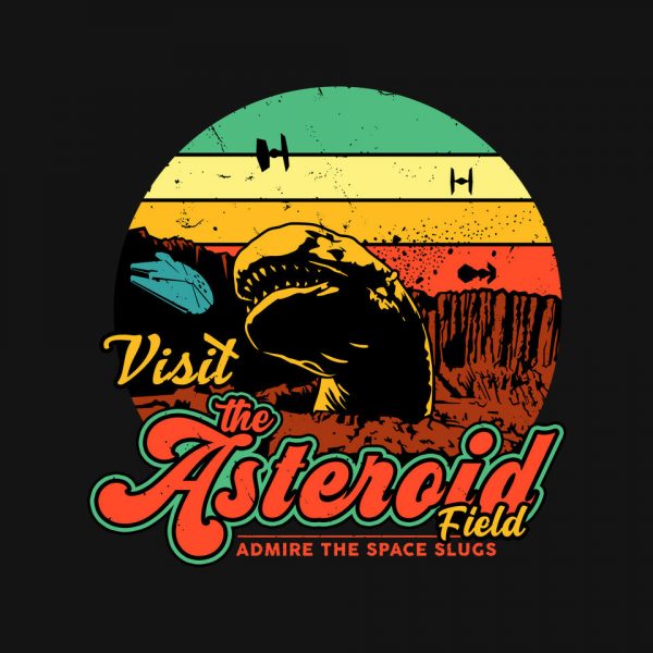 The Asteroid Field - Image 4